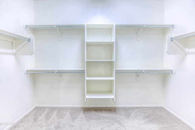 8348 N Mountain Stone Pine Way, Tucson, AZ 85743 - walk in closet featuring carpet floors