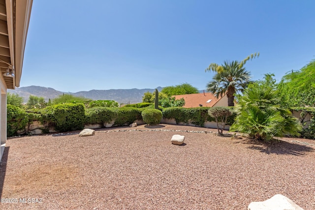 64161 E Santa Catalina Ct, Saddlebrooke, AZ 85739 - view of yard featuring a mountain view