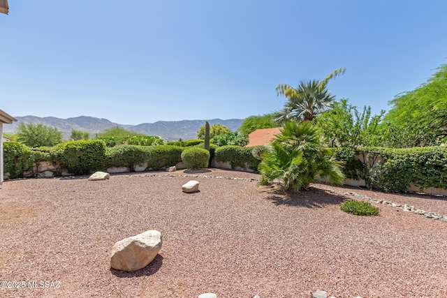 64161 E Santa Catalina Ct, Saddlebrooke, AZ 85739 - fenced backyard featuring a mountain view