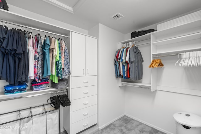 977 S Limestone St, Benson, AZ 85602 - walk in closet featuring light carpet