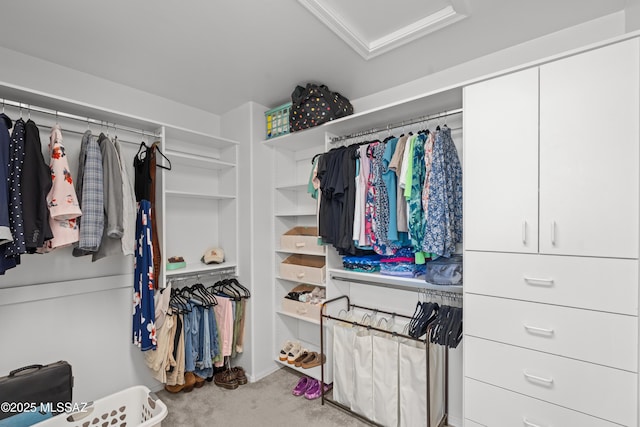 977 S Limestone St, Benson, AZ 85602 - walk in closet with carpet flooring and attic access