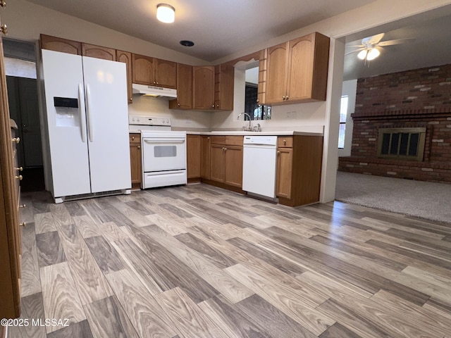 1339 W Pastime Rd, Tucson, AZ 85705 - kitchen featuring white appliances, under cabinet range hood, ceiling fan, and light wood-style floors