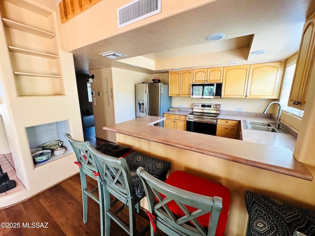 10487 E Turkey Creek Rd, Pearce, AZ 85625 - kitchen with appliances with stainless steel finishes, a tray ceiling, light brown cabinetry, dark wood finished floors, and light countertops