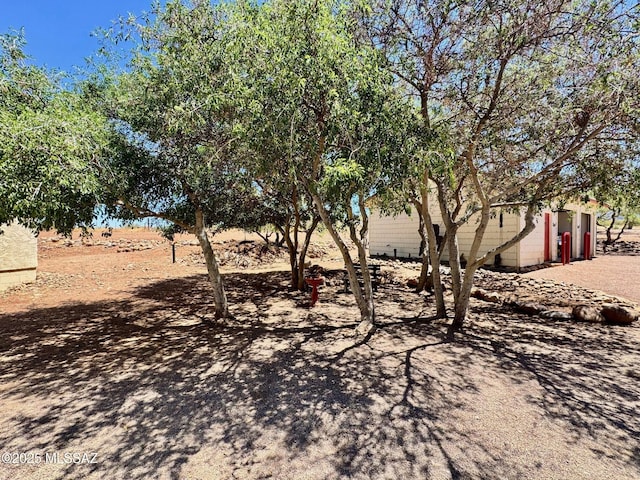 10487 E Turkey Creek Rd, Pearce, AZ 85625 - view of yard
