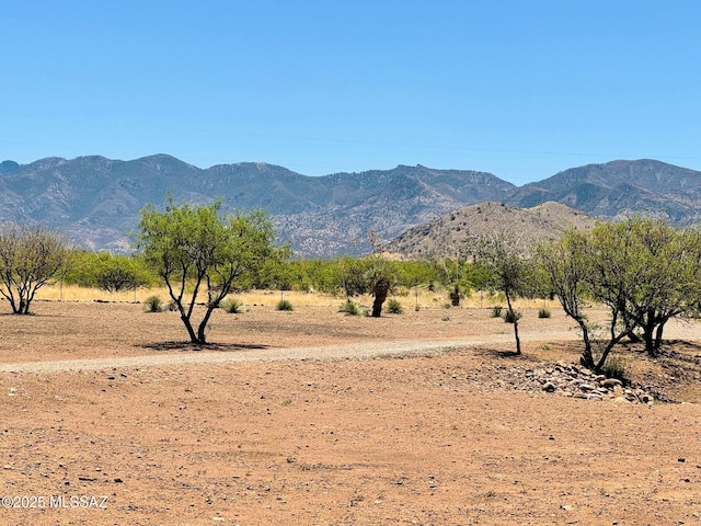 10487 E Turkey Creek Rd, Pearce, AZ 85625 - view of mountain backdrop with rural landscape