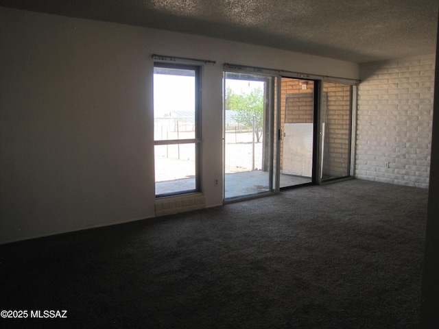 1001 E Irene St, Pearce, AZ 85625 - unfurnished room featuring a textured ceiling and carpet