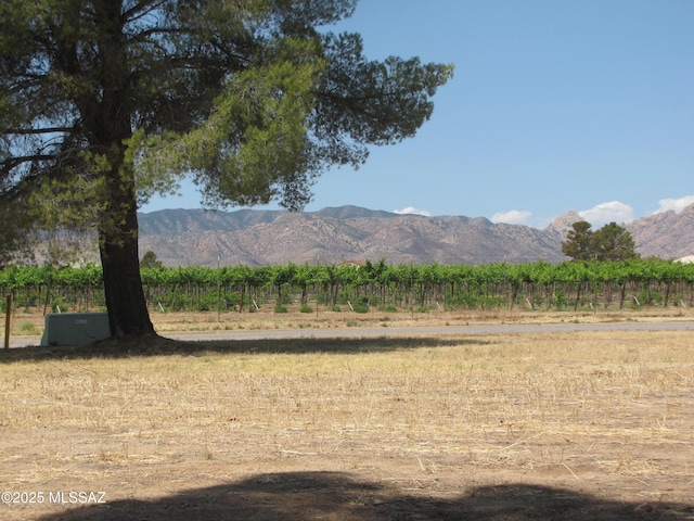 1001 E Irene St, Pearce, AZ 85625 - mountain view featuring rural landscape and abundant farmland