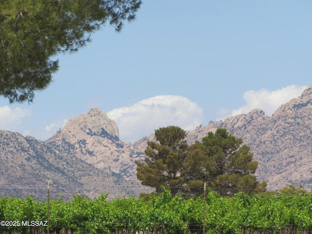 1001 E Irene St, Pearce, AZ 85625 - view of mountain background