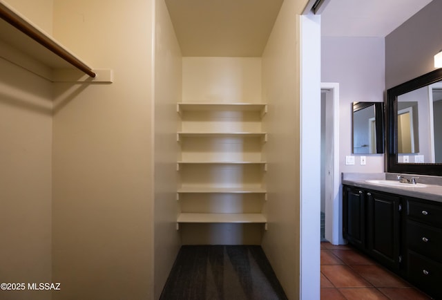 2990 W Trevi Pl Unit 200, Tucson, AZ 85741 - walk in closet featuring a sink and tile patterned flooring