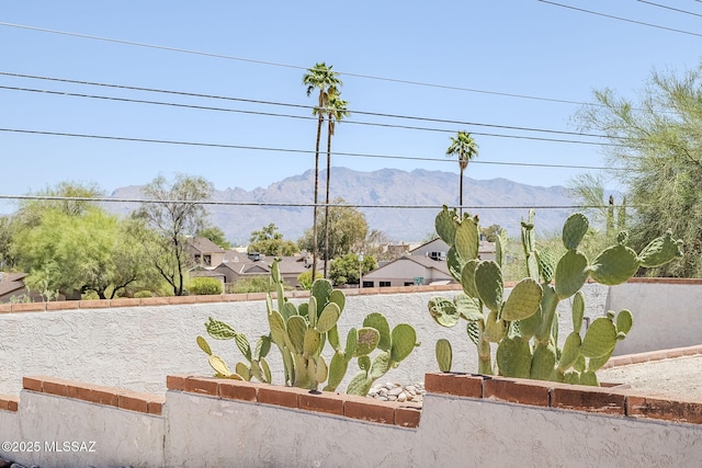 2366 N Camino Mateo, Tucson, AZ 85745 - fenced yard with a mountain view