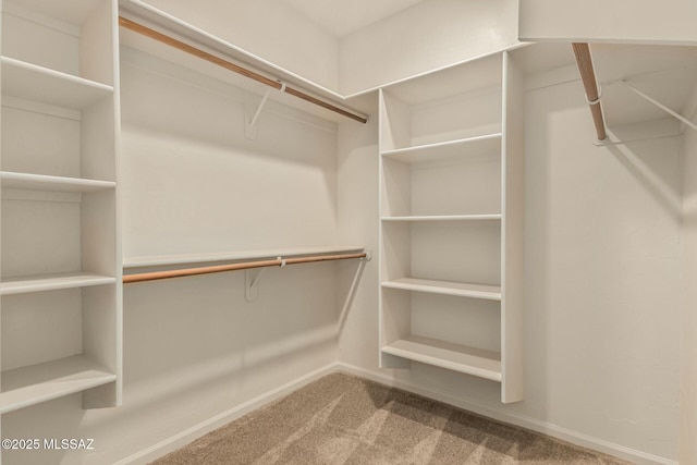 6859 N Placita Chula Vis, Tucson, AZ 85704 - walk in closet featuring carpet