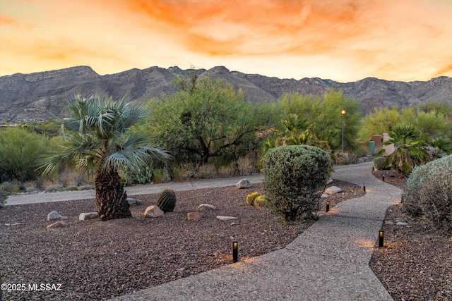 6265 N Jochums Dr, Tucson, AZ 85718 - mountain view