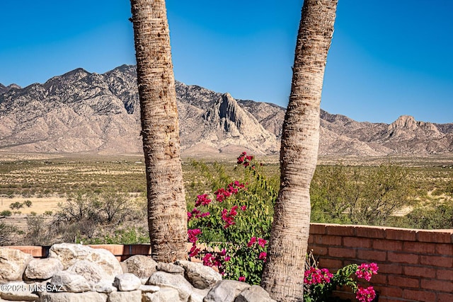 4823 S View Ridge Dr, Green Valley, AZ 85622 - mountain view