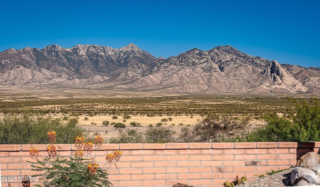 4823 S View Ridge Dr, Green Valley, AZ 85622 - mountain view