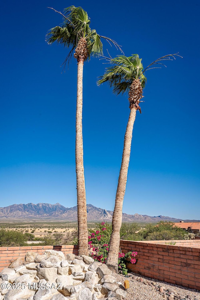 4823 S View Ridge Dr, Green Valley, AZ 85622 - mountain view