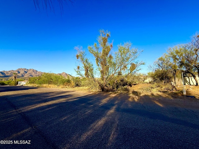 1245 Paseo Chubasco Unit 4, Rio Rico, AZ 85648