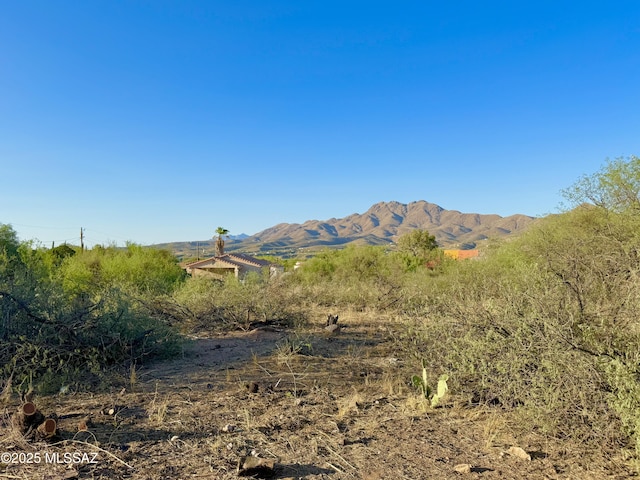 1245 Paseo Chubasco Unit 4, Rio Rico, AZ 85648