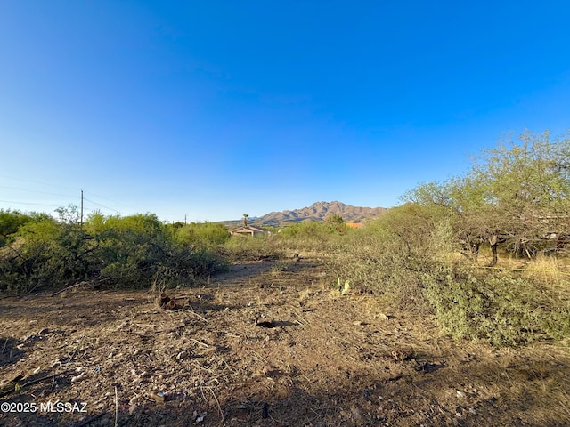 1245 Paseo Chubasco Unit 4, Rio Rico, AZ 85648