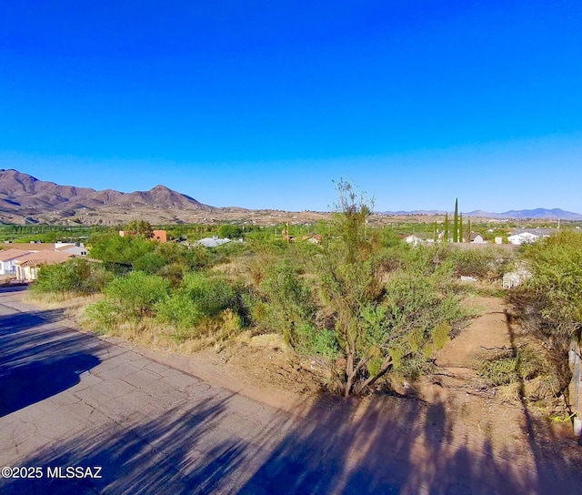 1245 Paseo Chubasco Unit 4, Rio Rico, AZ 85648