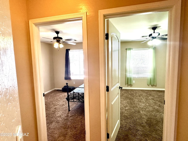 545 W Keisha Ln, Safford, AZ 85546 - hall with carpet floors and plenty of natural light