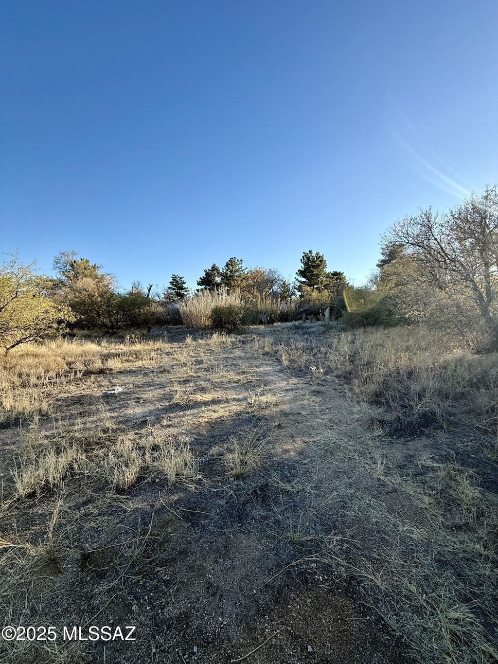 E Mt Lemmon Hwy, Oracle, AZ 85623