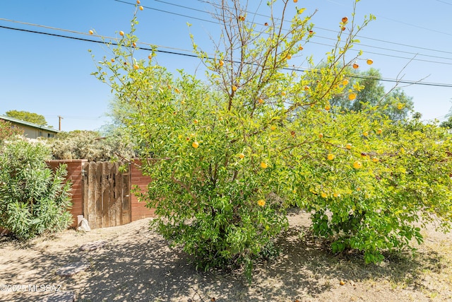 5521 E Camden St, Tucson, AZ 85712 - view of yard