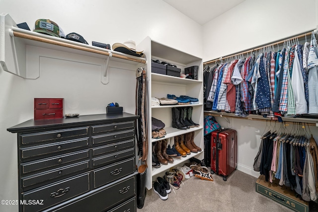 1144 S Castar Dr, Tucson, AZ 85745 - walk in closet with carpet floors