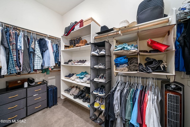 1144 S Castar Dr, Tucson, AZ 85745 - spacious closet with carpet flooring