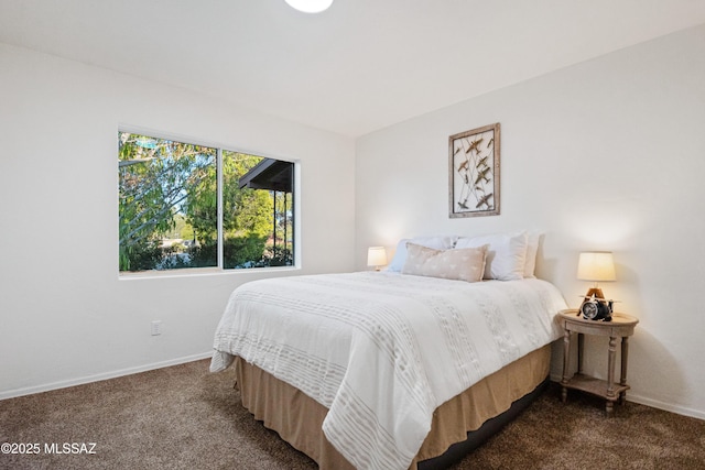 1225 N Nema Ave, Tucson, AZ 85712 - bedroom featuring dark colored carpet