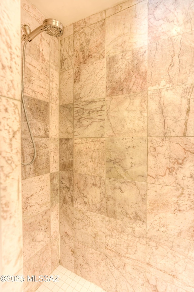 626 S Kellond Pl, Tucson, AZ 85710 - bathroom view of a tile shower