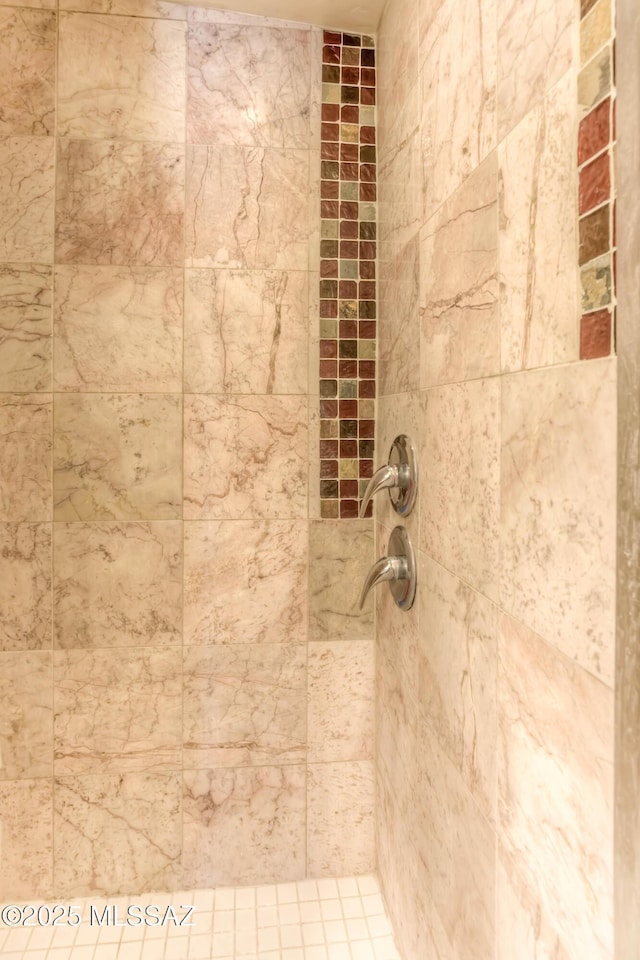 626 S Kellond Pl, Tucson, AZ 85710 - bathroom view of a tile shower