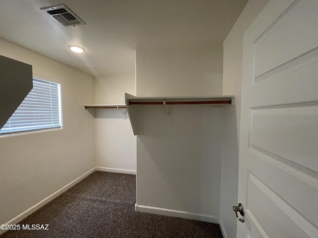 3306 N Baby Bruno Way, Tucson, AZ 85745 - walk in closet with dark colored carpet