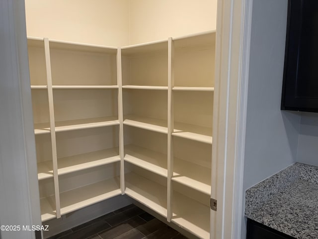 3306 N Baby Bruno Way, Tucson, AZ 85745 - view of pantry