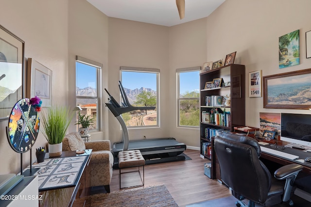 1511 E Placita Meseta Dorada, Oro Valley, AZ 85755 - office area featuring wood finished floors and a high ceiling