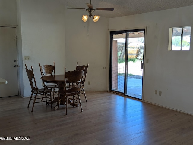 7088 S Camino Grande, Tucson, AZ 85746 - dining area featuring ceiling fan, wood finished floors, and a textured ceiling