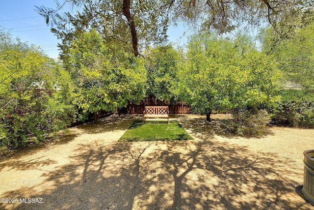 2421 E Drachman St, Tucson, AZ 85719 - view of yard
