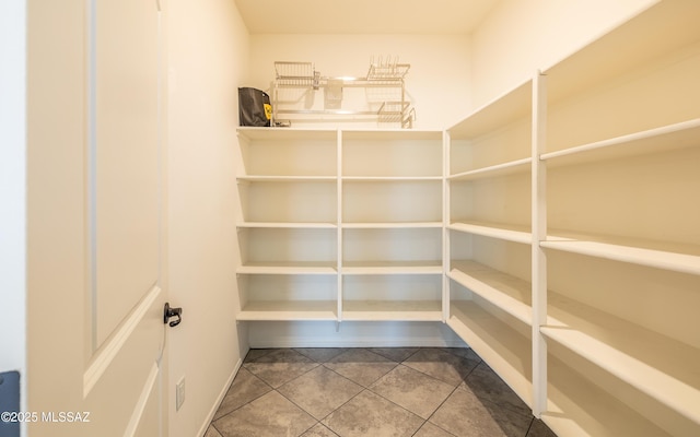 8820 E Stone Meadow Cir, Tucson, AZ 85730 - view of storage area