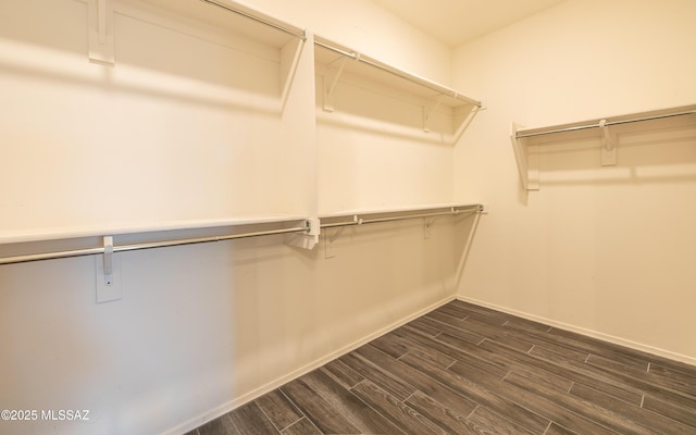 8820 E Stone Meadow Cir, Tucson, AZ 85730 - spacious closet featuring dark wood-style flooring