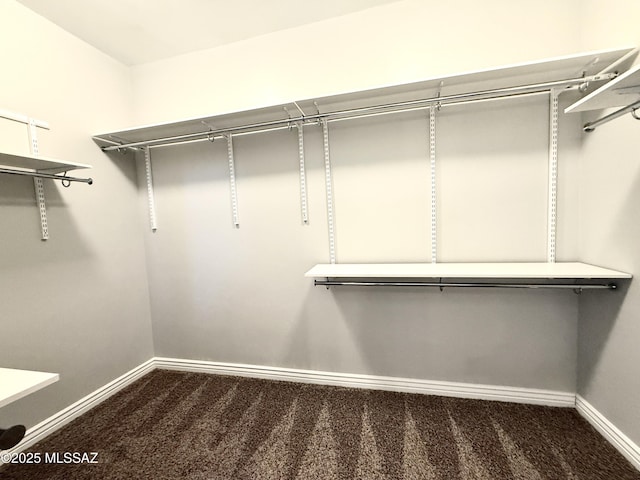 9636 N Havenwood Way, Marana, AZ 85653 - walk in closet with dark colored carpet