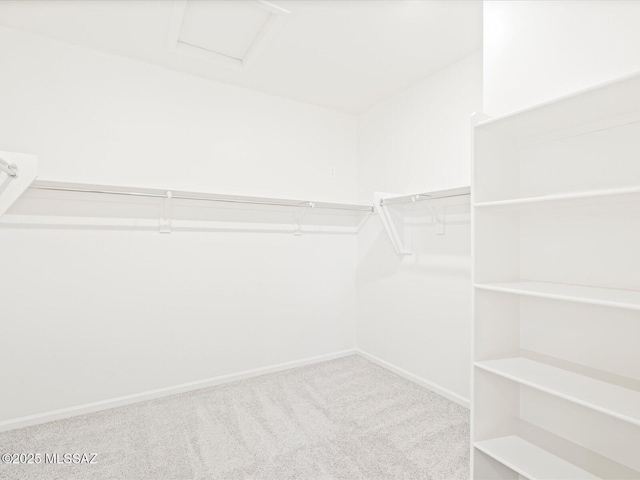 306 N Spring Flower Dr, Tucson, AZ 85748 - spacious closet with carpet and attic access
