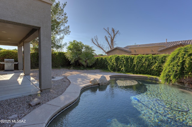 817 E Deer Spring Canyon Pl, Sahuarita, AZ 85629 - view of swimming pool featuring area for grilling and a fenced backyard