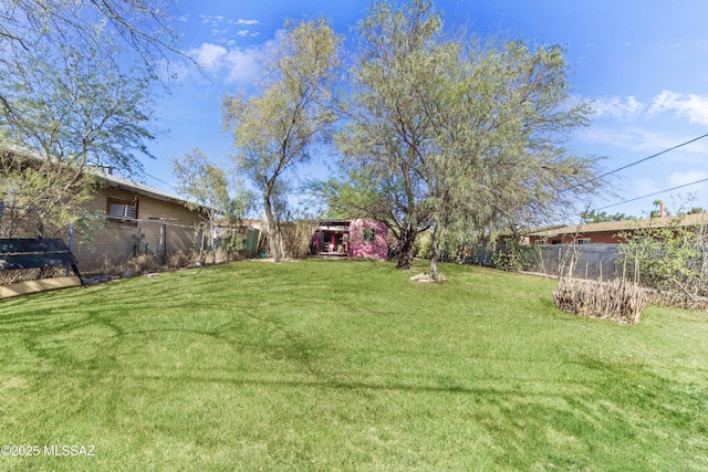 1036 S 4th Ave, Tucson, AZ 85701 - view of yard