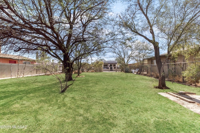 1036 S 4th Ave, Tucson, AZ 85701 - view of yard