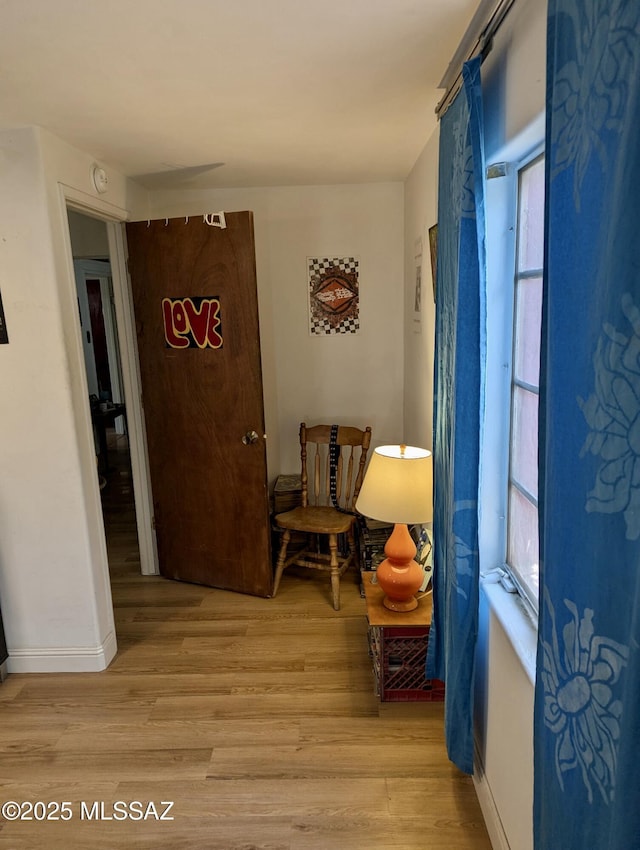1036 S 4th Ave, Tucson, AZ 85701 - corridor featuring light wood-style floors and healthy amount of natural light