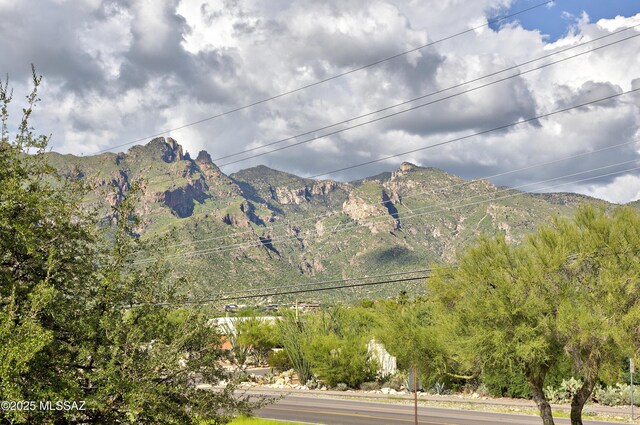 6651 N Campbell Ave Unit 286, Tucson, AZ 85718 - mountain view