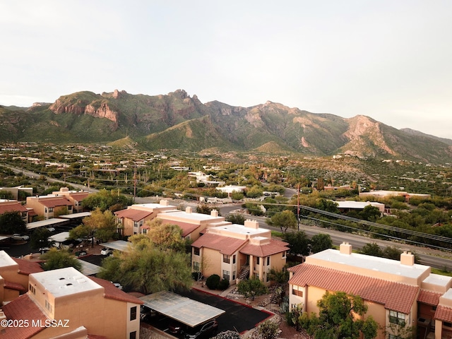 6651 N Campbell Ave Unit 286, Tucson, AZ 85718 - view of mountain background featuring nearby suburban area