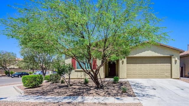 6860 E Via Arroyo Largo, Tucson, AZ 85756 - view of property hidden behind natural elements with an attached garage, driveway, and stucco siding