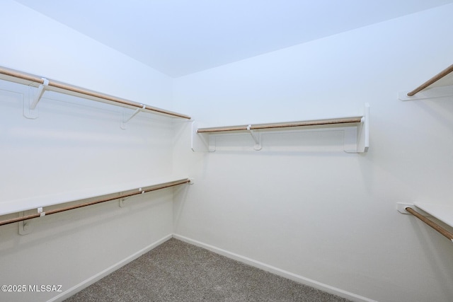 6860 E Via Arroyo Largo, Tucson, AZ 85756 - walk in closet featuring carpet flooring