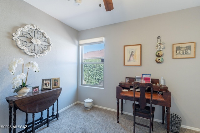 9908 E Shadow Glen Ct, Tucson, AZ 85748 - office space with ceiling fan and carpet