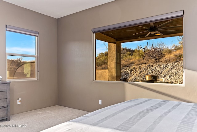 3188 W Tumamoc Dr, Tucson, AZ 85745 - bedroom with carpet flooring and multiple windows